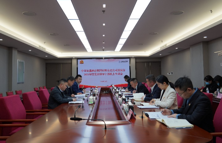 尊龙集团党委书记、董事长任丁出席安逸酒店集团2022年度党员领导干部民主生活会